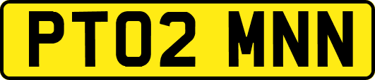 PT02MNN