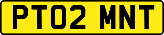 PT02MNT