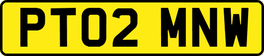 PT02MNW