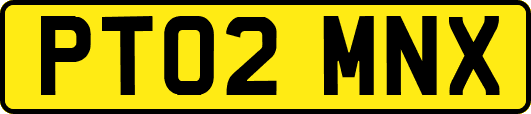 PT02MNX