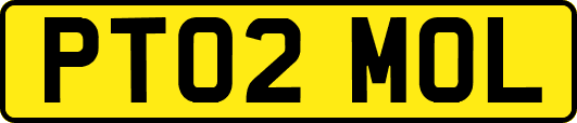 PT02MOL