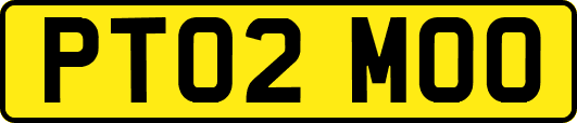 PT02MOO