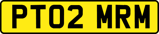 PT02MRM