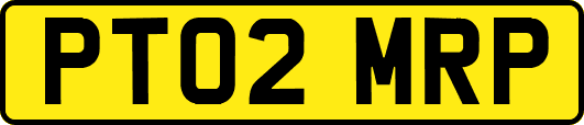PT02MRP