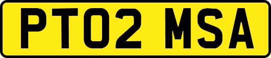 PT02MSA