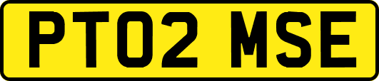 PT02MSE