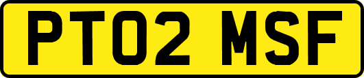 PT02MSF