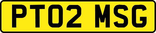 PT02MSG