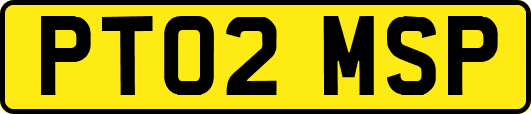 PT02MSP