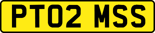 PT02MSS