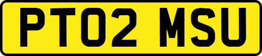PT02MSU