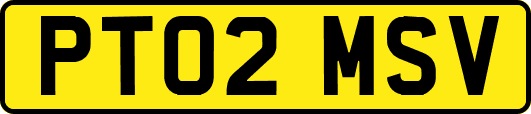 PT02MSV