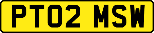PT02MSW