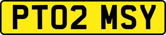 PT02MSY