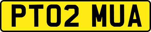 PT02MUA