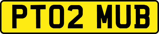 PT02MUB
