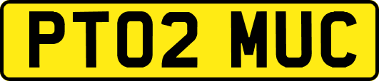 PT02MUC