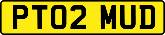 PT02MUD