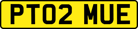 PT02MUE