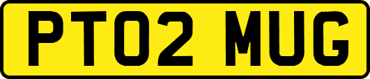 PT02MUG