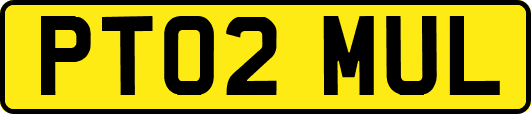 PT02MUL