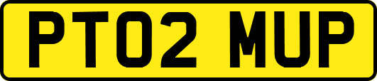 PT02MUP