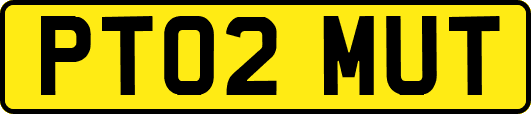 PT02MUT