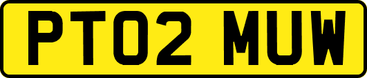 PT02MUW