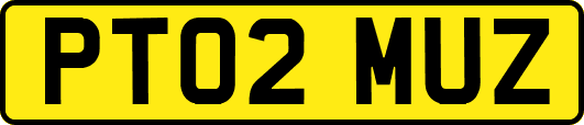 PT02MUZ