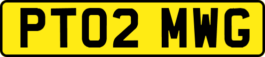 PT02MWG