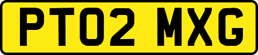 PT02MXG