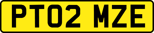 PT02MZE