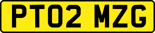 PT02MZG