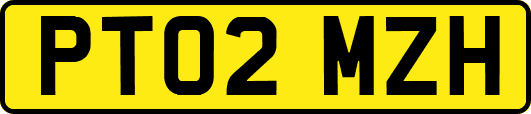 PT02MZH