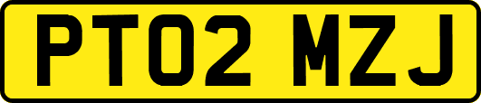 PT02MZJ