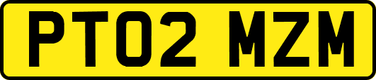 PT02MZM