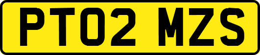 PT02MZS