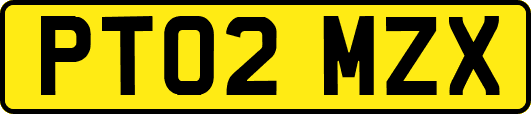 PT02MZX