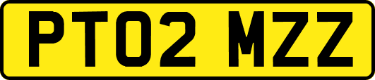PT02MZZ