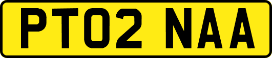 PT02NAA
