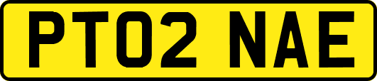 PT02NAE