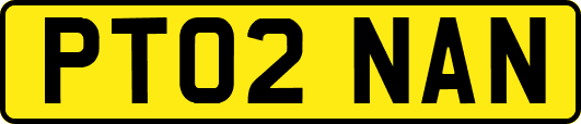 PT02NAN