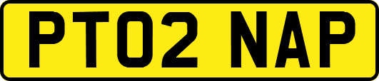 PT02NAP
