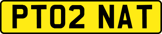 PT02NAT