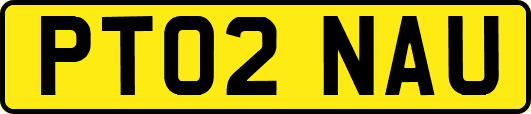 PT02NAU
