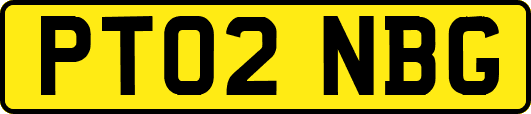 PT02NBG