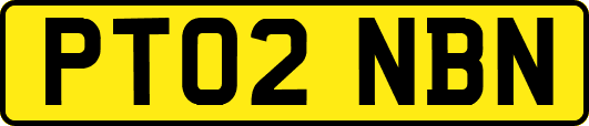 PT02NBN