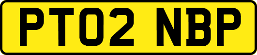 PT02NBP