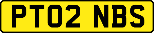 PT02NBS