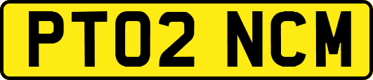PT02NCM